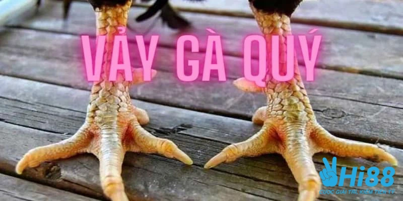 vay ga quy